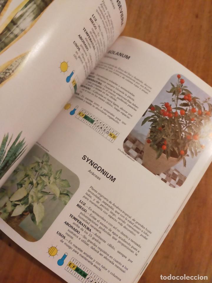 Libros de segunda mano: GUIA INTERFLORA DE PLANTAS Y FLORES - Foto 5
