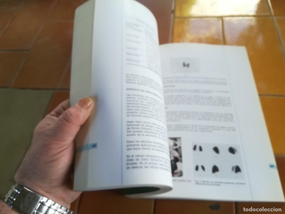 Libros de segunda mano de ciencias: EL LIBRO DE LA ENERGIA / FORUM AT&Oacute;MICO ESPA&Ntilde;OL / CONSO 663-GV-A - Foto 8