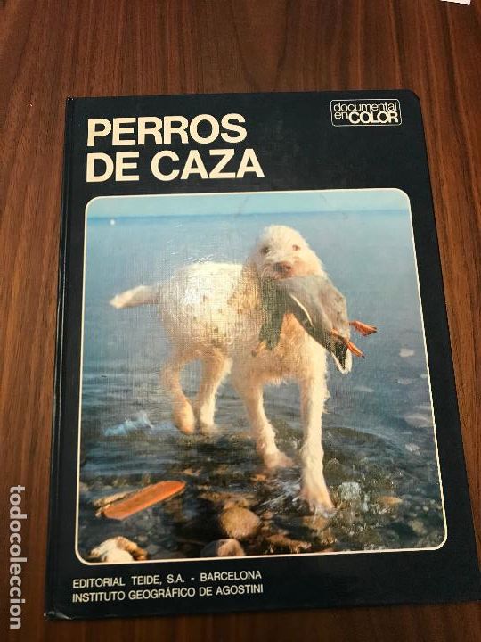 Libros de segunda mano: PERROS DE CAZA EDITORIAL , INTITUTO GEOGR&Aacute;FICO TEIDE , EDITORIAL TEIDE - Foto 1