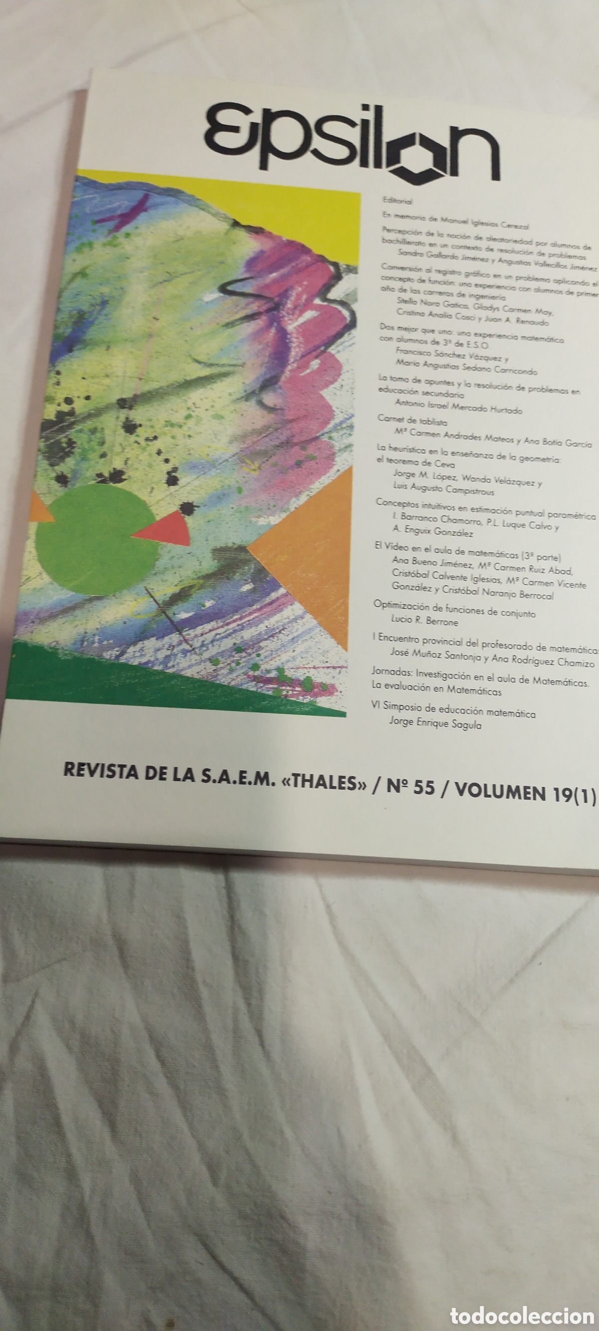 Libros de segunda mano de ciencias: Epsilon 55. Matem&aacute;ticas volumen 19 - Foto 1