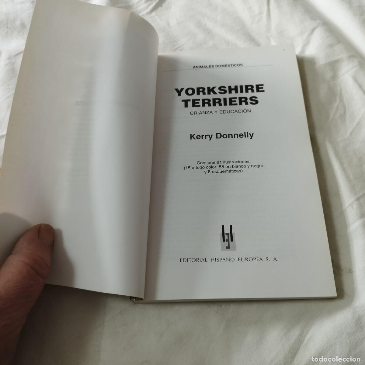 Libros de segunda mano: YORKSHIRE TERRIERS / K DONETLY / EVA104 / HISPANO EUROPEA - Foto 6