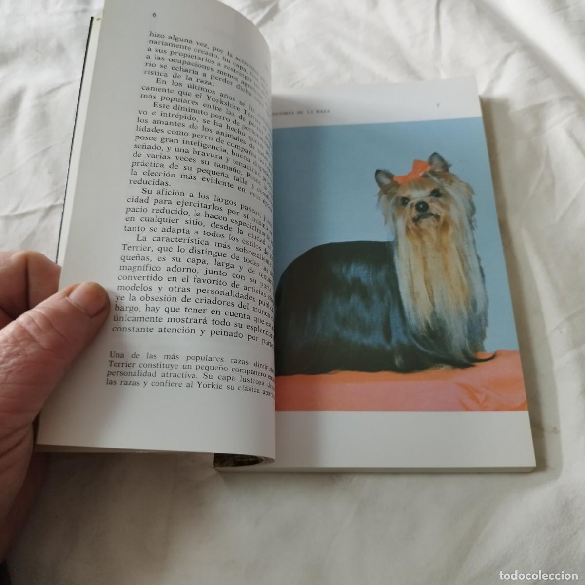 Libros de segunda mano: YORKSHIRE TERRIERS / K DONETLY / EVA104 / HISPANO EUROPEA - Foto 7