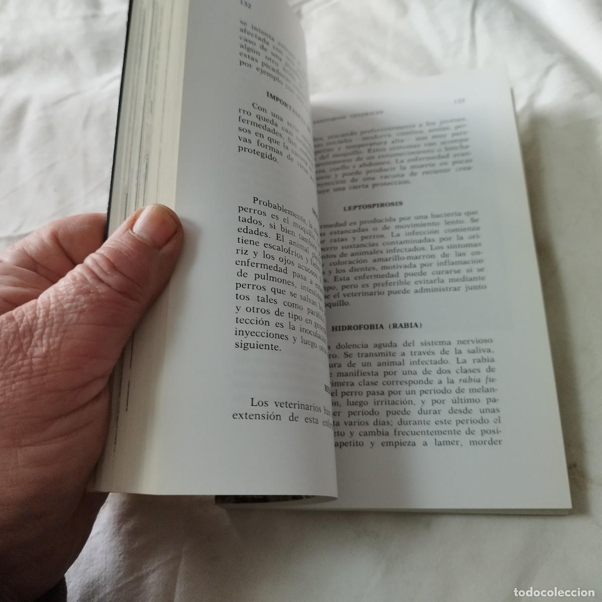 Libros de segunda mano: YORKSHIRE TERRIERS / K DONETLY / EVA104 / HISPANO EUROPEA - Foto 9