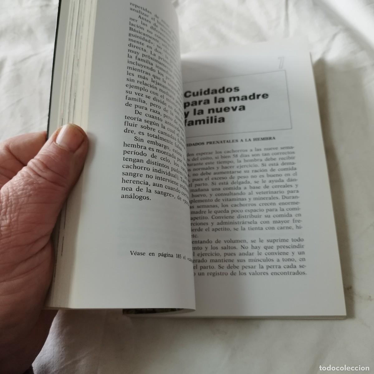 Libros de segunda mano: YORKSHIRE TERRIERS / K DONETLY / EVA104 / HISPANO EUROPEA - Foto 10