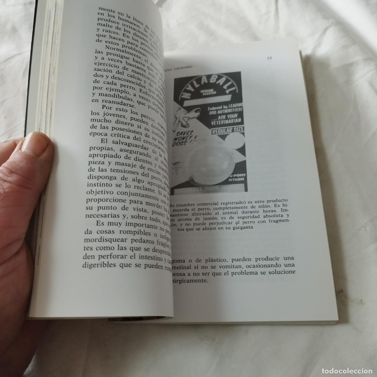 Libros de segunda mano: YORKSHIRE TERRIERS / K DONETLY / EVA104 / HISPANO EUROPEA - Foto 11