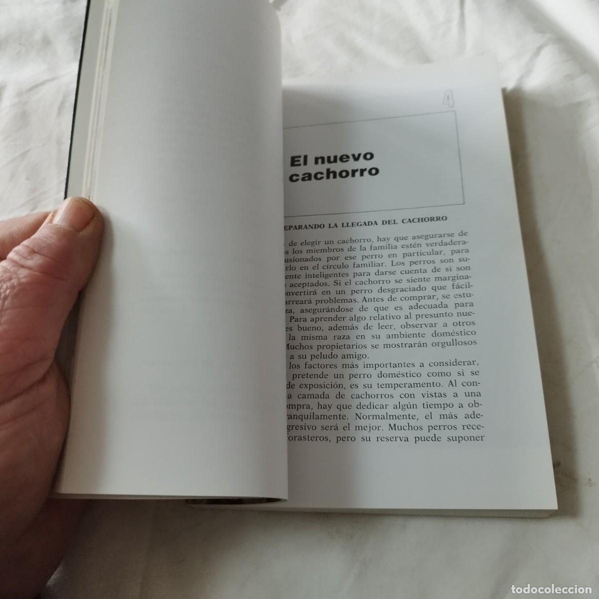 Libros de segunda mano: YORKSHIRE TERRIERS / K DONETLY / EVA104 / HISPANO EUROPEA - Foto 13