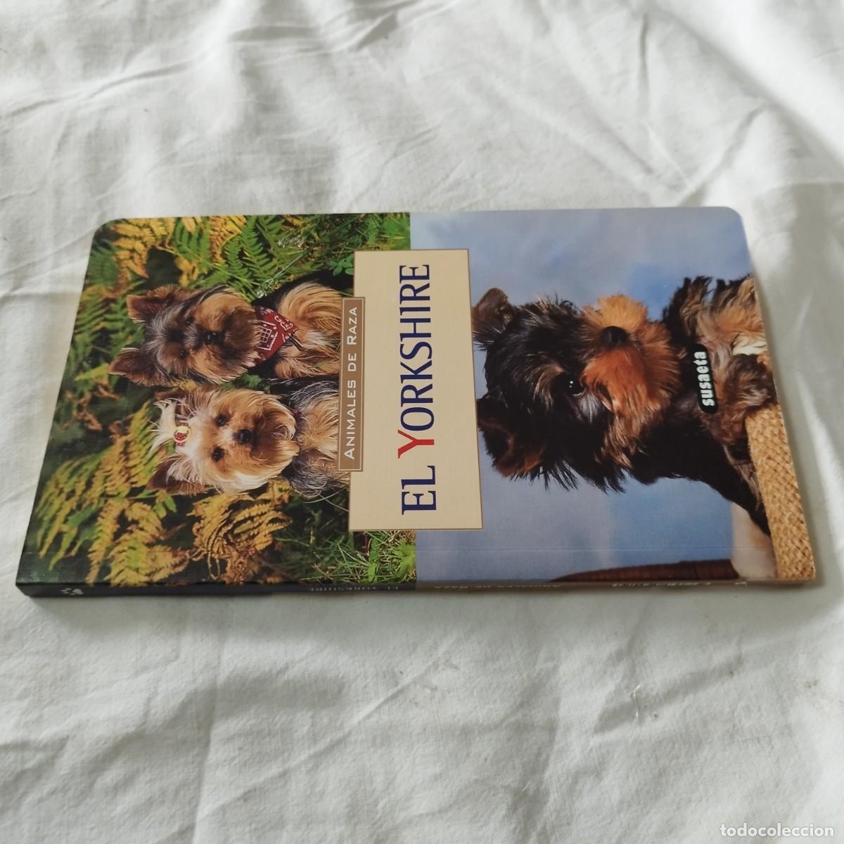 Libros de segunda mano: EL YORKSHIRE / HUBERT, KLEIN / EVA104 / SUSAETA - Foto 1