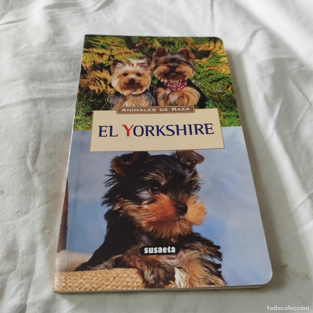 Libros de segunda mano: EL YORKSHIRE / HUBERT, KLEIN / EVA104 / SUSAETA - Foto 2