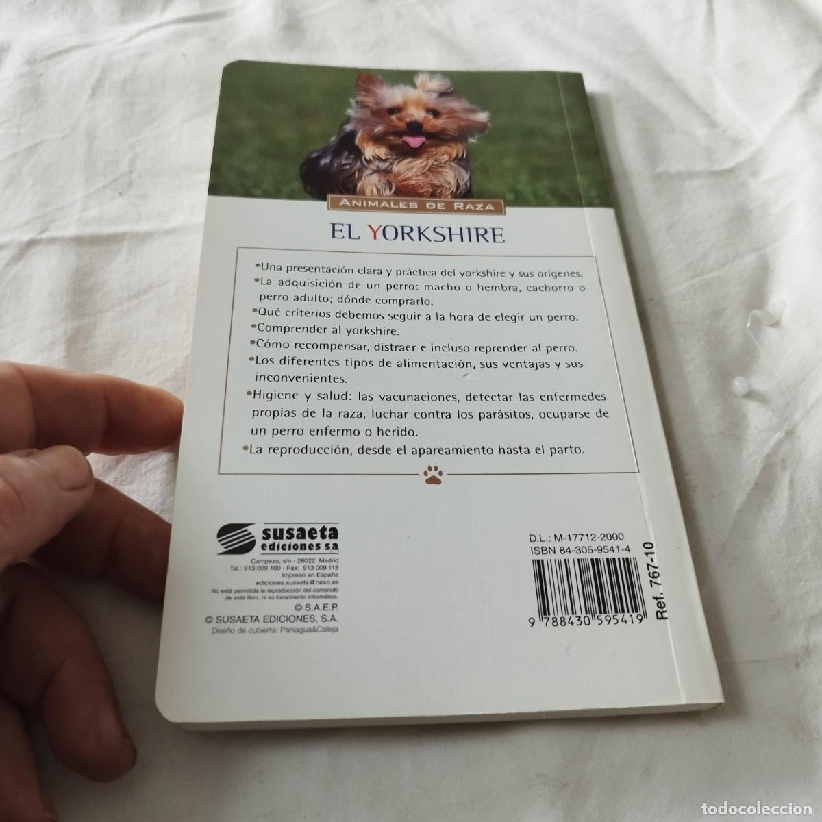 Libros de segunda mano: EL YORKSHIRE / HUBERT, KLEIN / EVA104 / SUSAETA - Foto 3