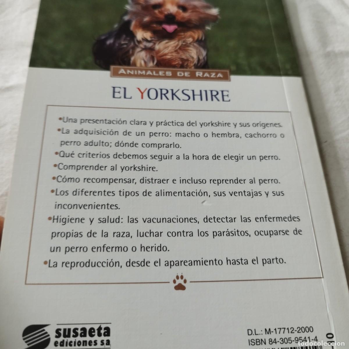 Libros de segunda mano: EL YORKSHIRE / HUBERT, KLEIN / EVA104 / SUSAETA - Foto 4