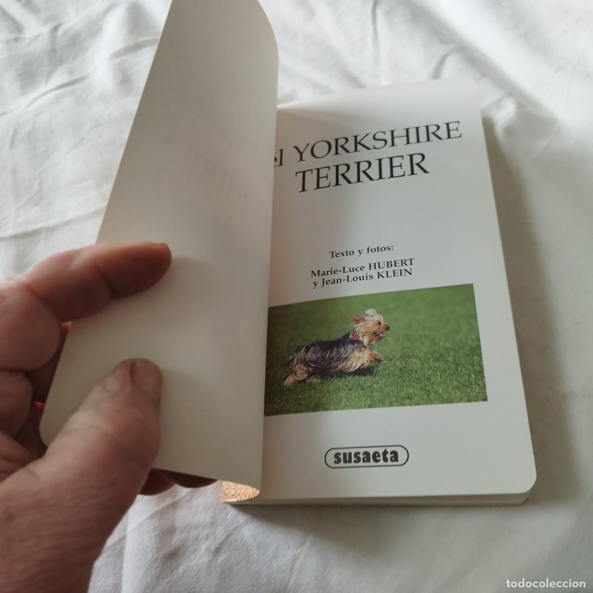 Libros de segunda mano: EL YORKSHIRE / HUBERT, KLEIN / EVA104 / SUSAETA - Foto 5