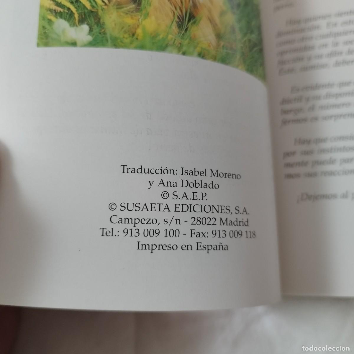 Libros de segunda mano: EL YORKSHIRE / HUBERT, KLEIN / EVA104 / SUSAETA - Foto 6