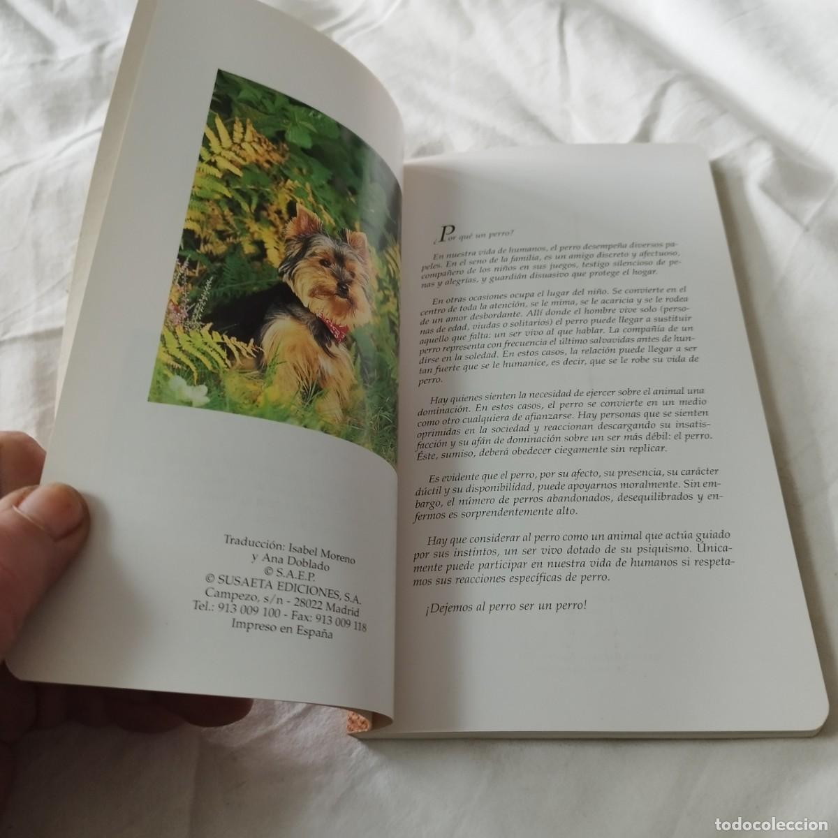 Libros de segunda mano: EL YORKSHIRE / HUBERT, KLEIN / EVA104 / SUSAETA - Foto 7