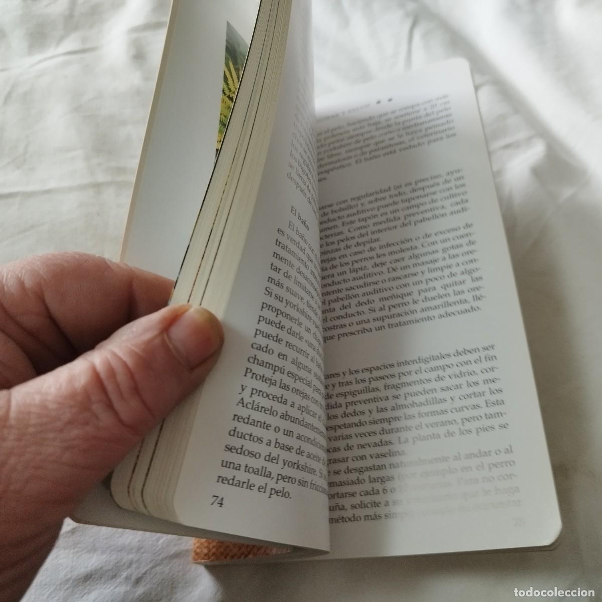 Libros de segunda mano: EL YORKSHIRE / HUBERT, KLEIN / EVA104 / SUSAETA - Foto 9
