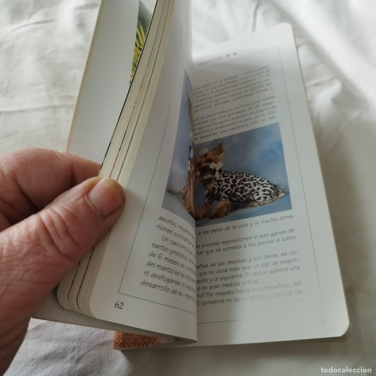 Libros de segunda mano: EL YORKSHIRE / HUBERT, KLEIN / EVA104 / SUSAETA - Foto 10