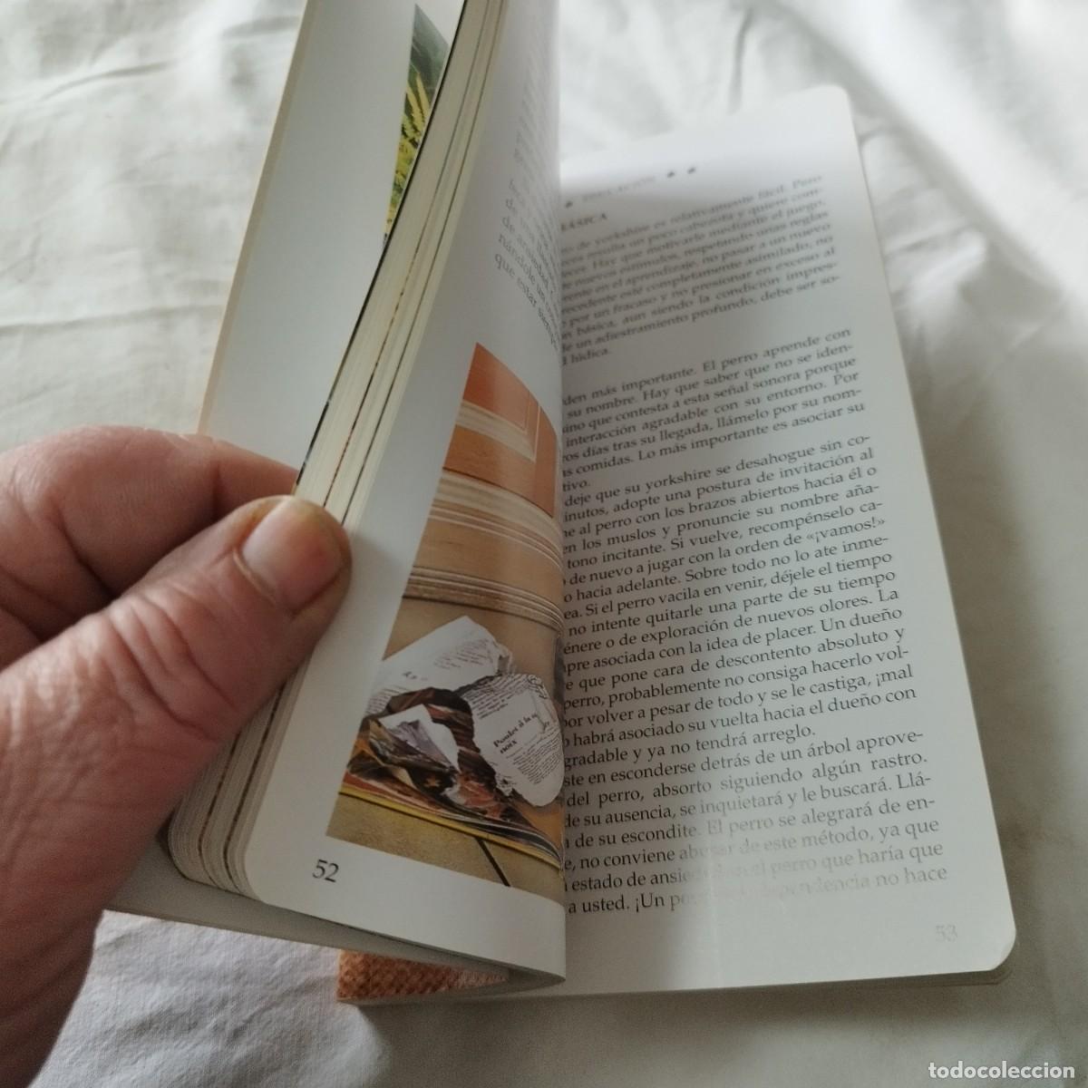 Libros de segunda mano: EL YORKSHIRE / HUBERT, KLEIN / EVA104 / SUSAETA - Foto 11