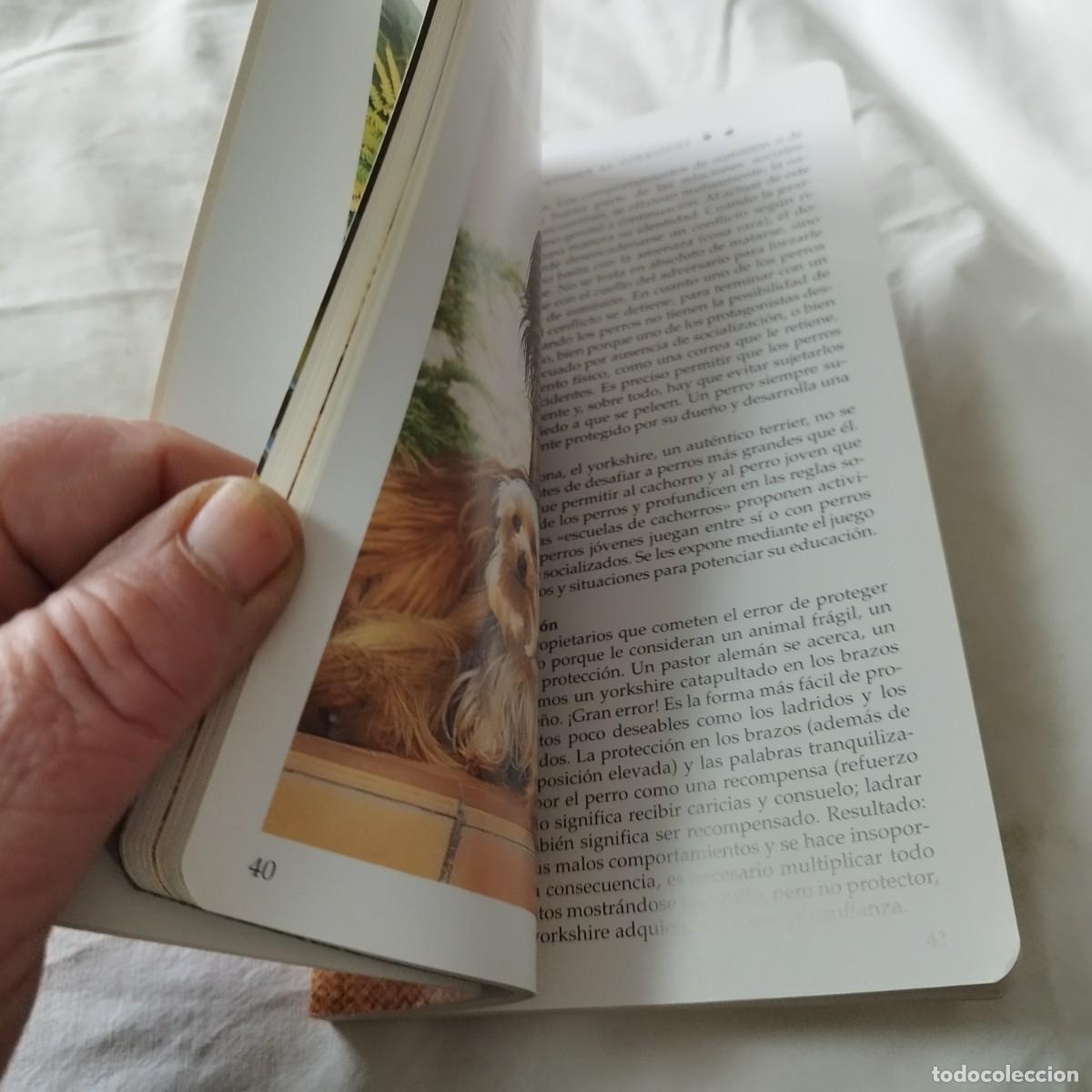 Libros de segunda mano: EL YORKSHIRE / HUBERT, KLEIN / EVA104 / SUSAETA - Foto 12