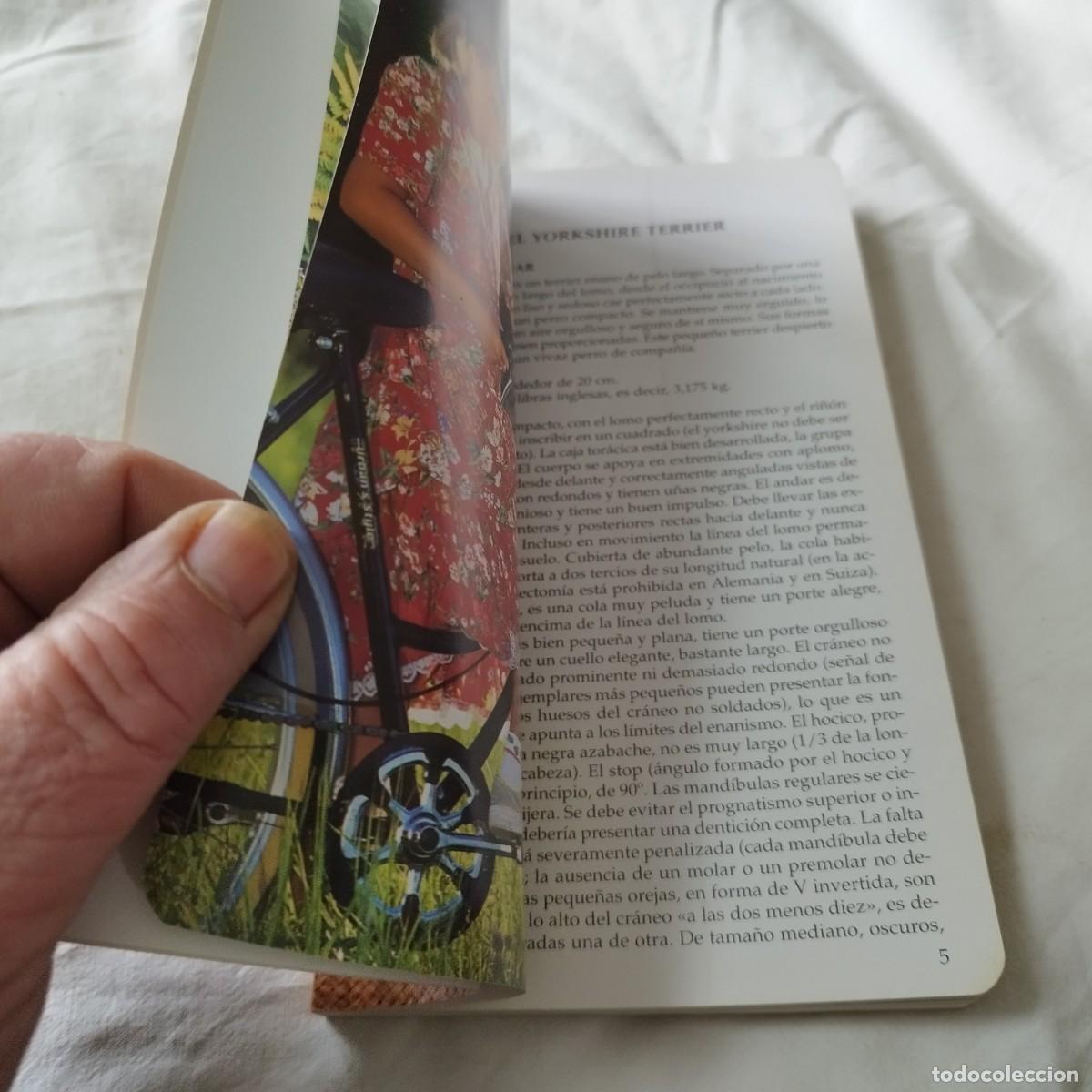 Libros de segunda mano: EL YORKSHIRE / HUBERT, KLEIN / EVA104 / SUSAETA - Foto 13