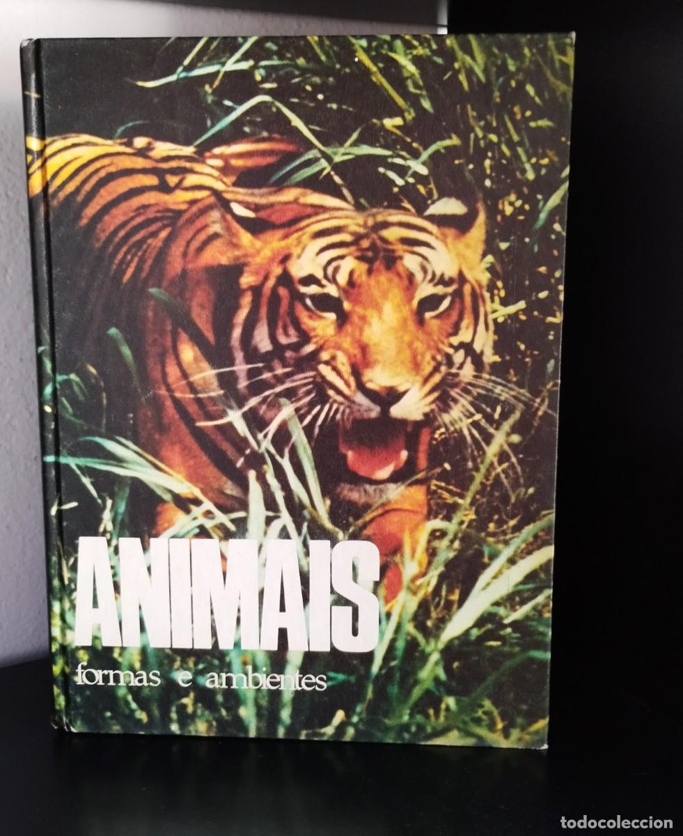 Libros de segunda mano: Animais: formas e ambiente de Dietmar Todt - Foto 1