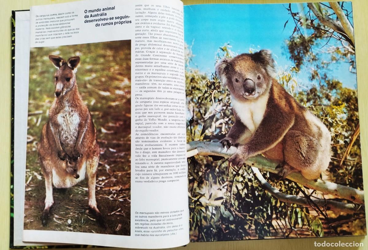 Libros de segunda mano: Animais: formas e ambiente de Dietmar Todt - Foto 4