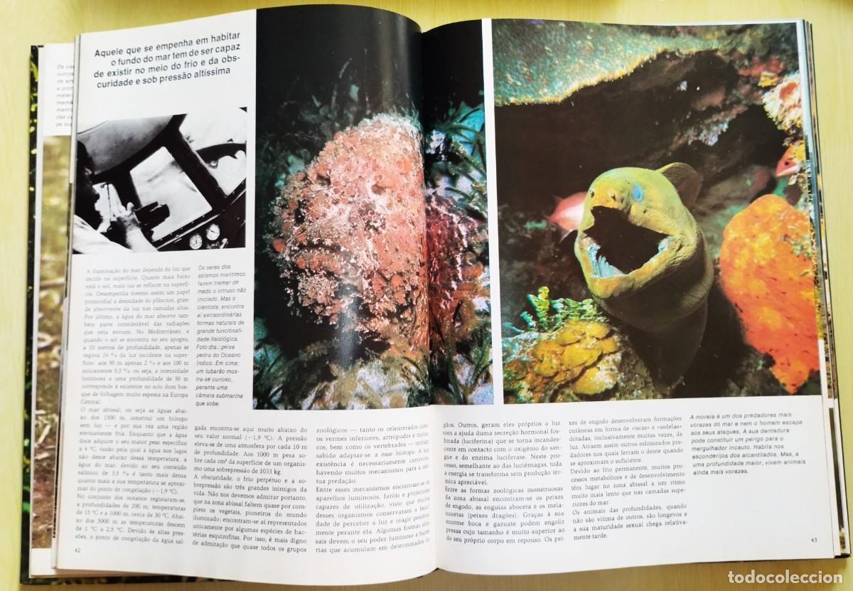 Libros de segunda mano: Animais: formas e ambiente de Dietmar Todt - Foto 5