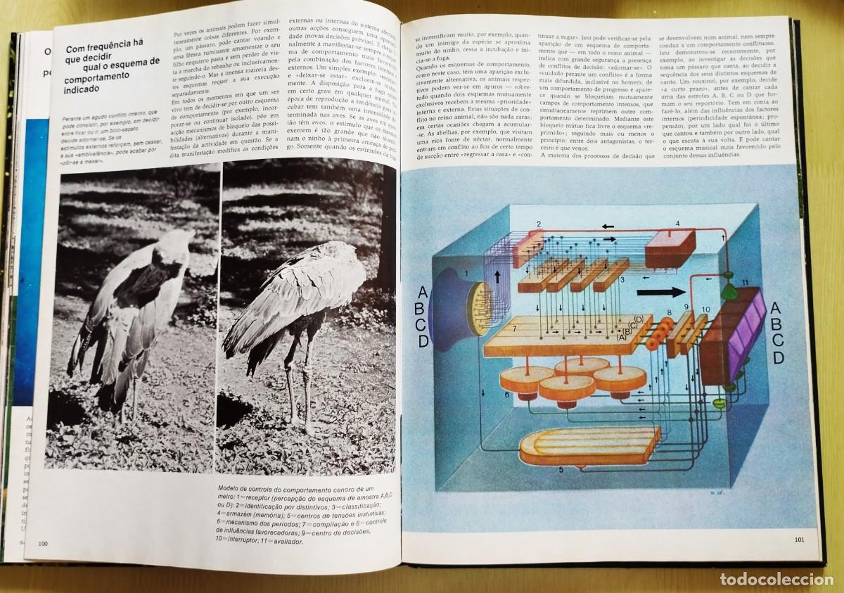 Libros de segunda mano: Animais: formas e ambiente de Dietmar Todt - Foto 7