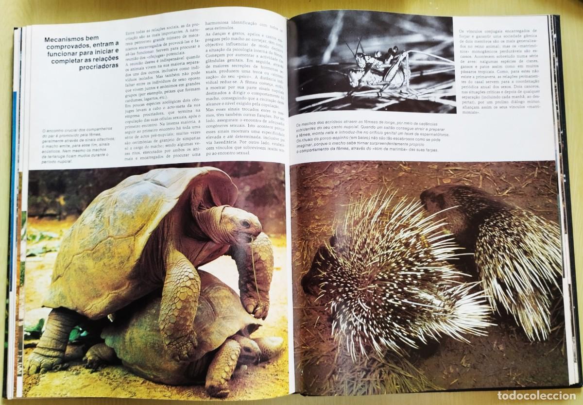 Libros de segunda mano: Animais: formas e ambiente de Dietmar Todt - Foto 8