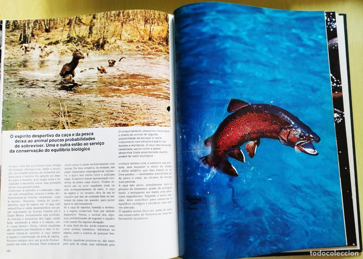Libros de segunda mano: Animais: formas e ambiente de Dietmar Todt - Foto 10