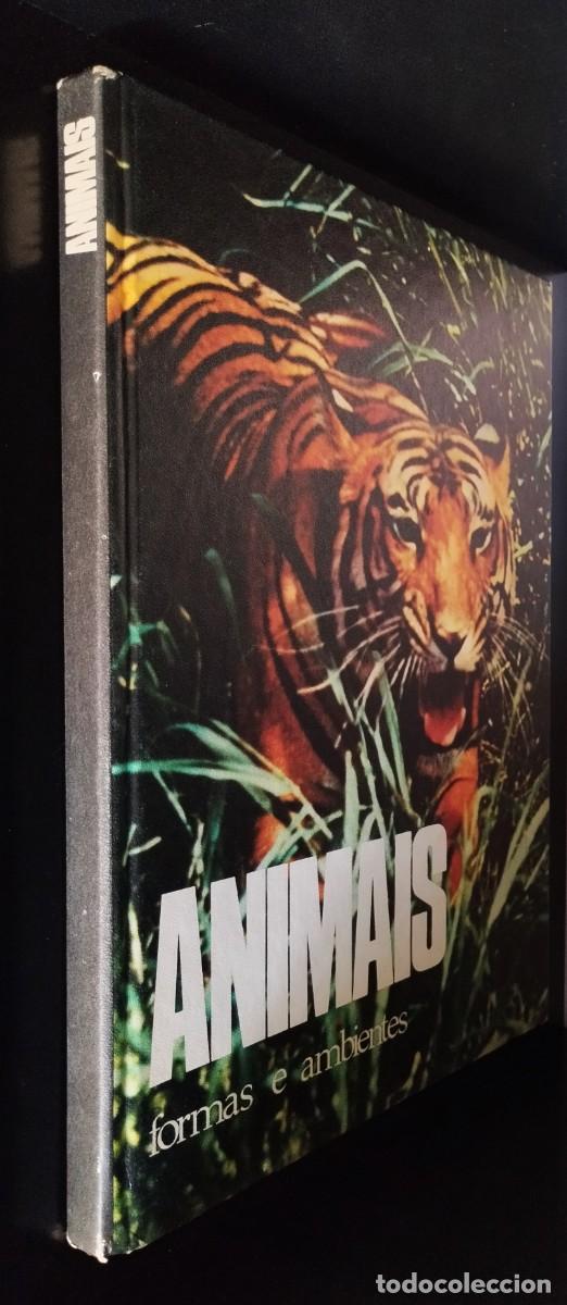 Libros de segunda mano: Animais: formas e ambiente de Dietmar Todt - Foto 11