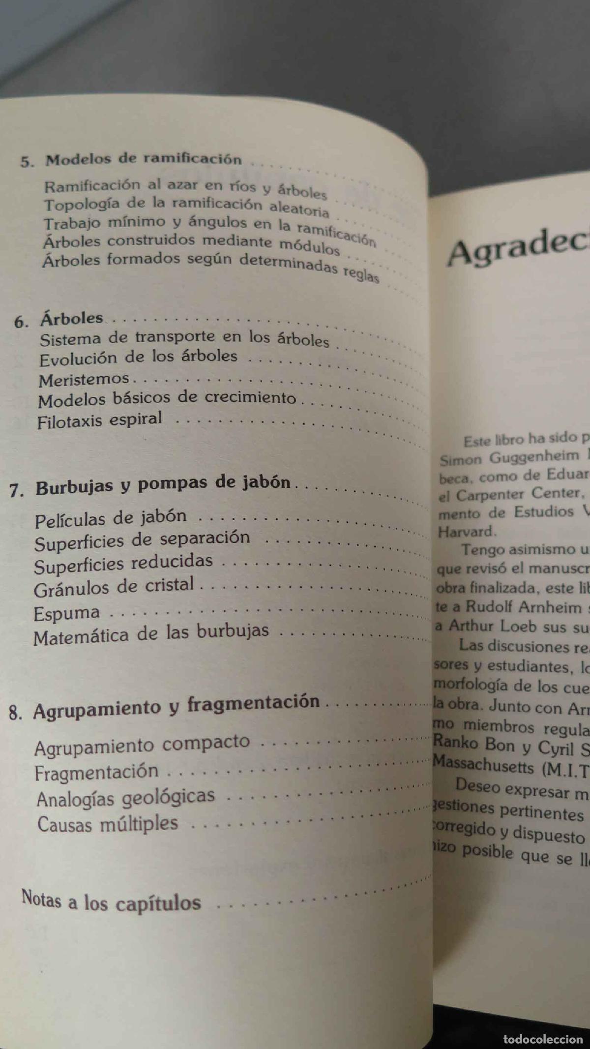 Libros de segunda mano: PATRONES Y PAUTAS EN LA NATURALEZA. STEVENS - Foto 3