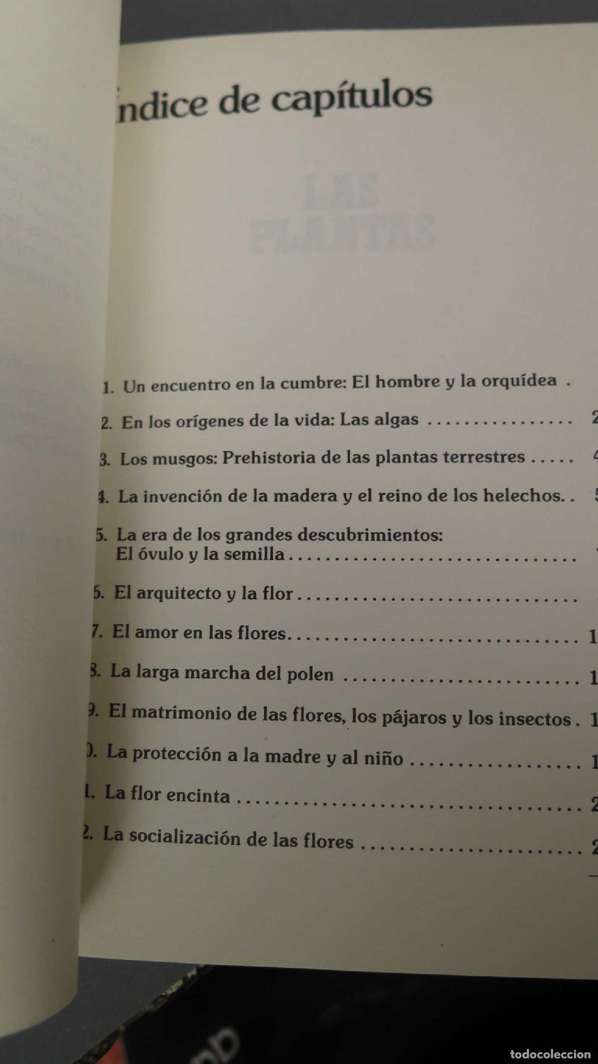 Libros de segunda mano: LAS PLANTAS. PELT - Foto 2