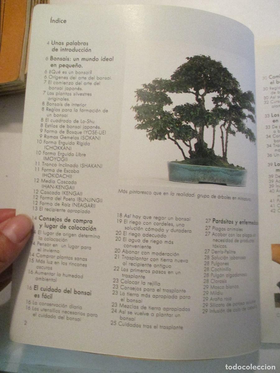 Libros de segunda mano: JOCHEN PFISTERER Bonsais W24510 - Foto 2