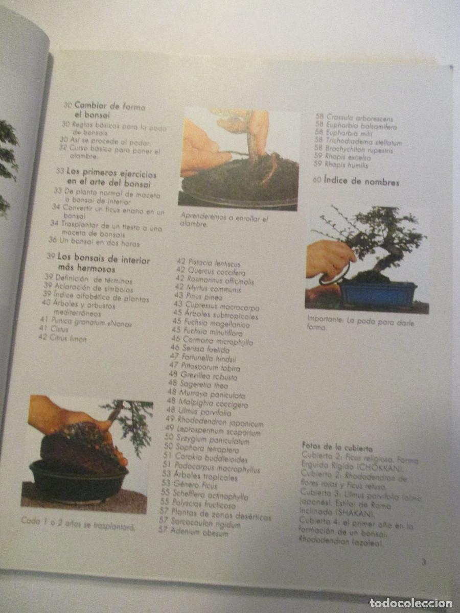 Libros de segunda mano: JOCHEN PFISTERER Bonsais W24510 - Foto 3