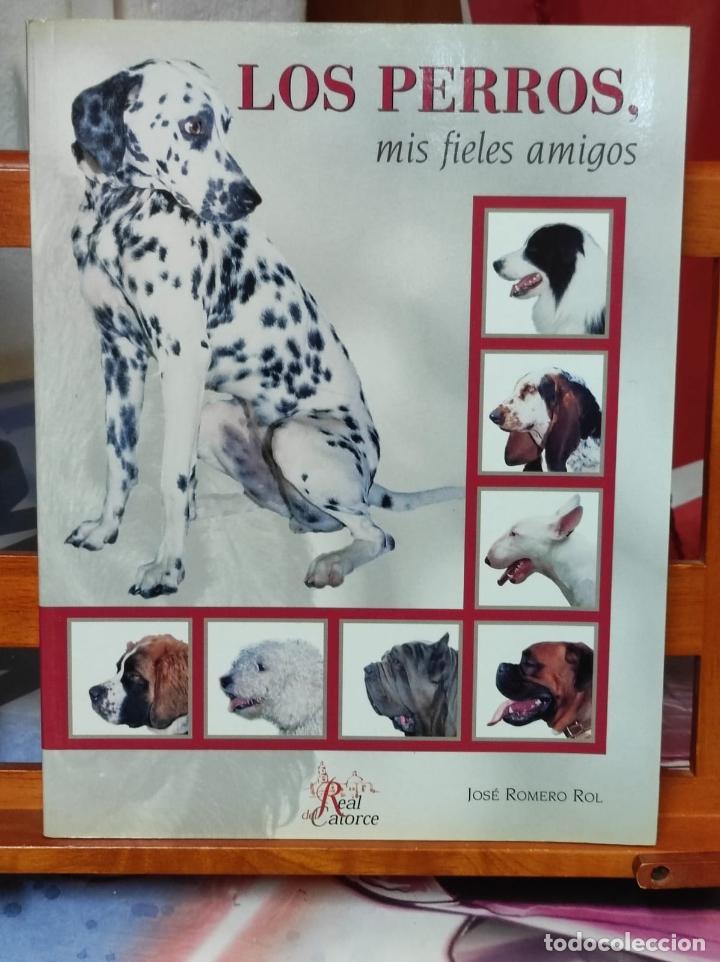 Second hand books: LOS PERROS - Mis fieles amigos -Jose Romero Rol - Real del catorce - 2008 (IB2733S)