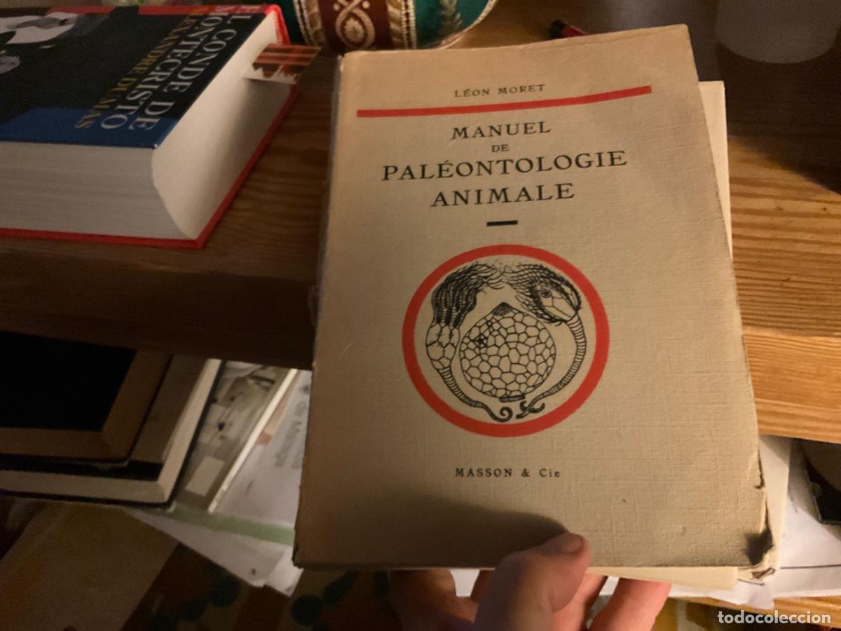 Second hand books: Manuel de Pal&eacute;ontologie animale. Moret, L. 1958