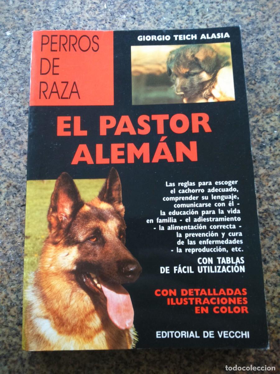 Libros de segunda mano: EL PASTOR ALEMAN -- GIORGIO TEICH -- DE VECCHI 1995 -- - Foto 1