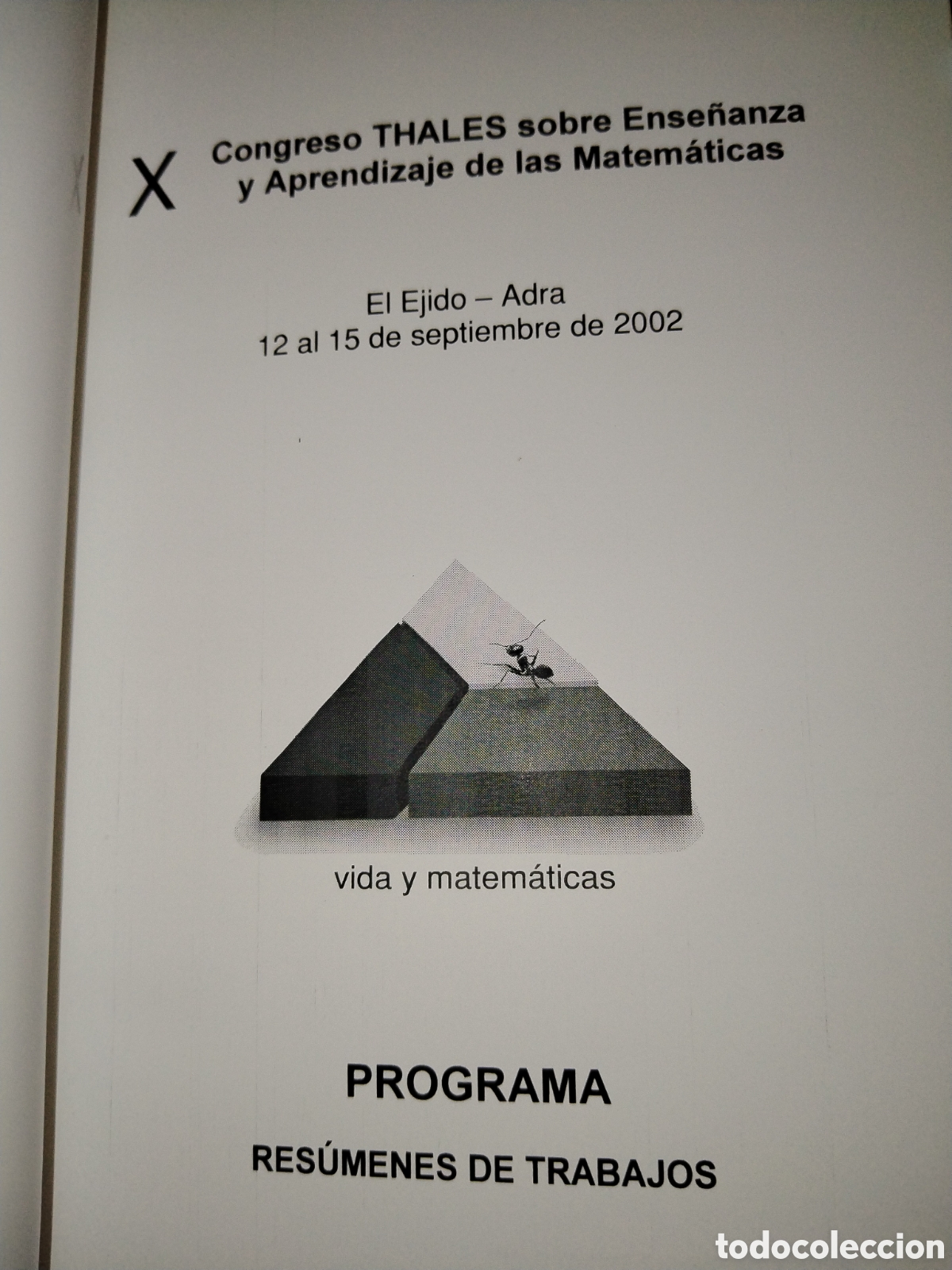 Libros de segunda mano de ciencias: Programa del X Congreso tales sobre ense&ntilde;anza y aprendizaje de las matem&aacute;ticas. Adra 2002 - Foto 2