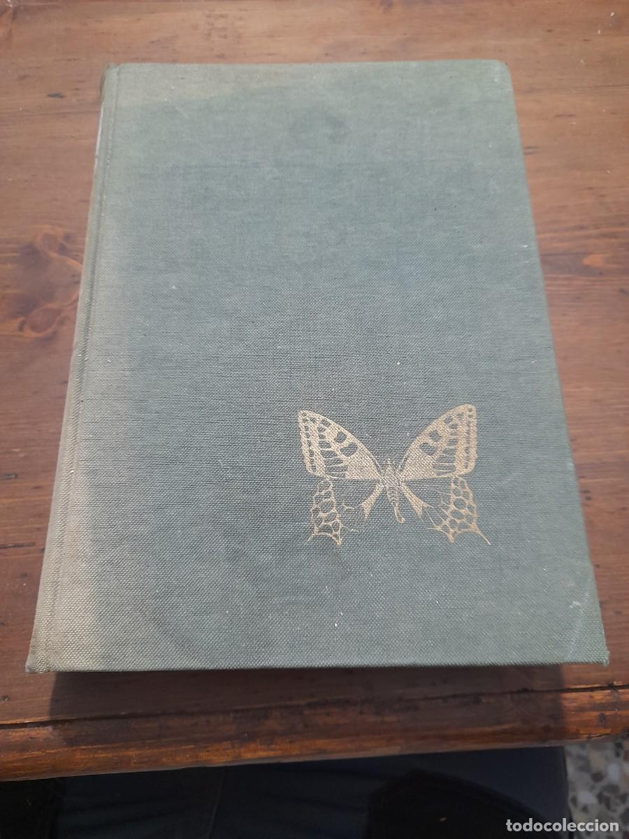 Libros de segunda mano: Libro Los animales vergara. Tomo V - Foto 1