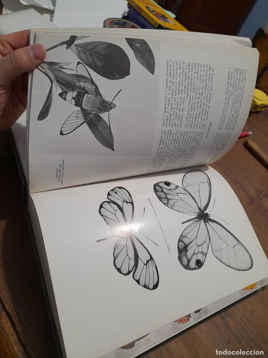 Libros de segunda mano: Libro Los animales vergara. Tomo V - Foto 4
