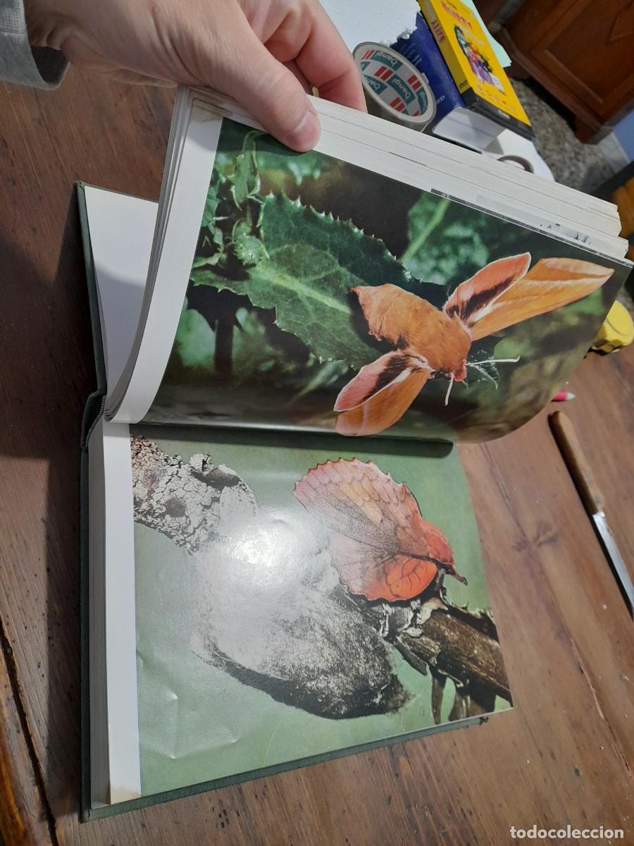 Libros de segunda mano: Libro Los animales vergara. Tomo V - Foto 5