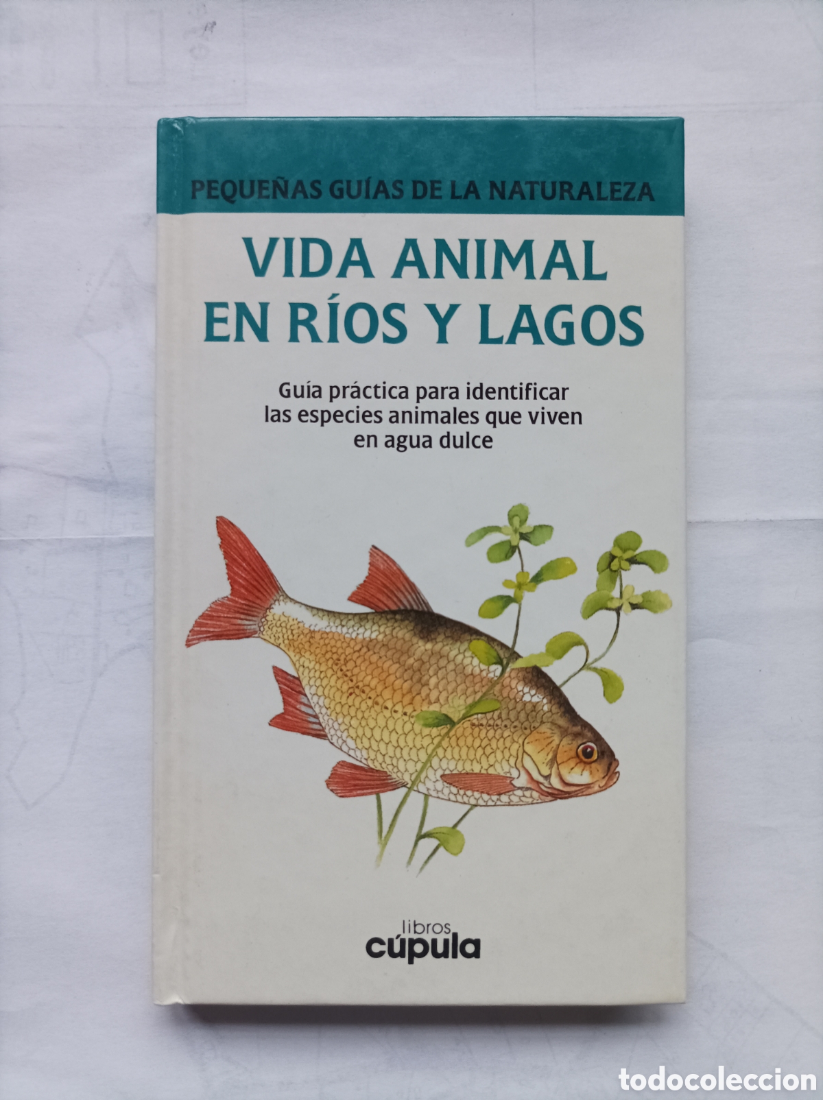 Second hand books: Vida animal en r&iacute;os y lagos. Gu&iacute;a pr&aacute;ctica para identificar... Naturaleza / Pamela y Peter Forey