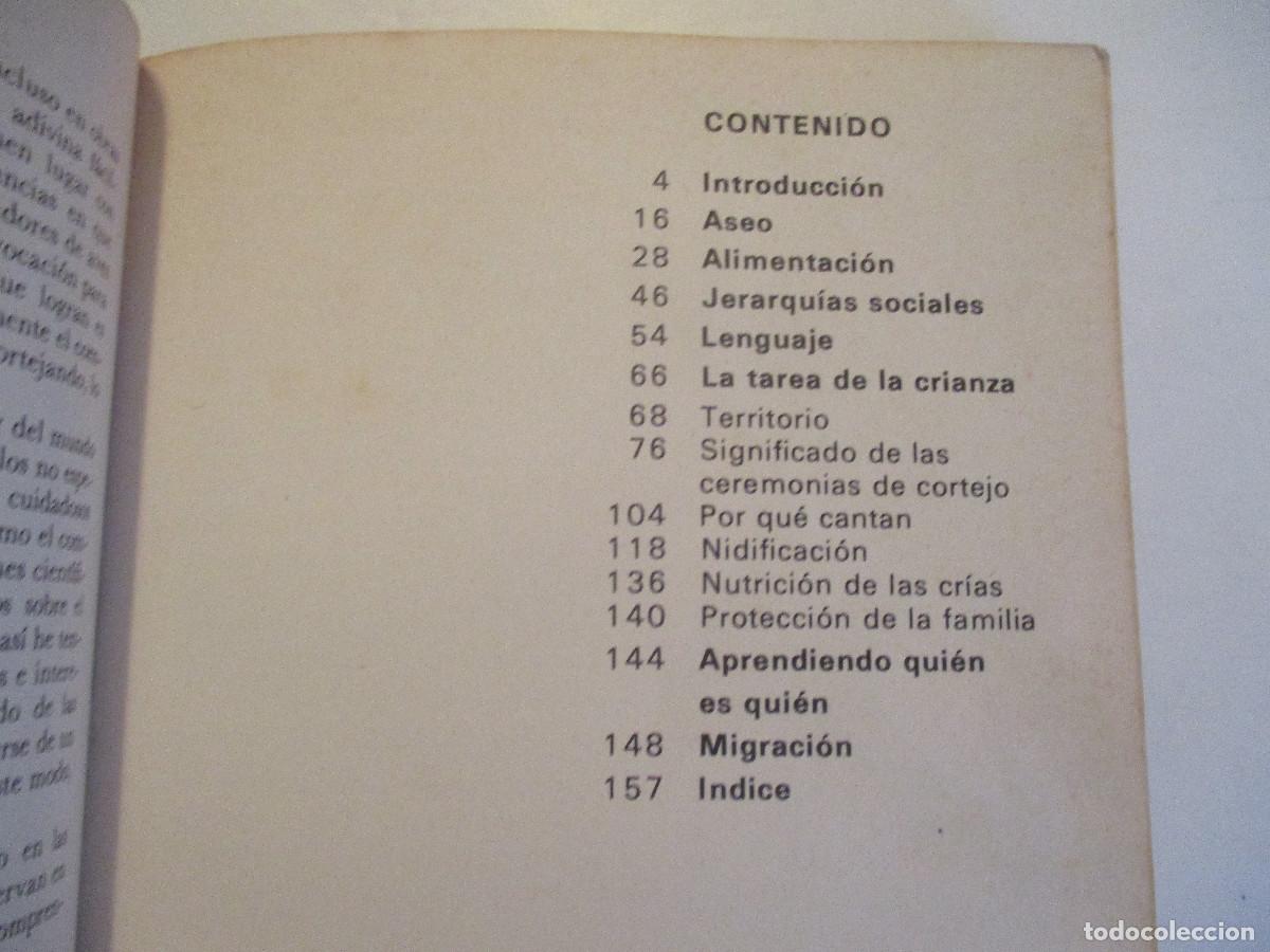 Libros de segunda mano: JOHN SPARKS Vida y costumbres de las aves W24612 - Foto 2