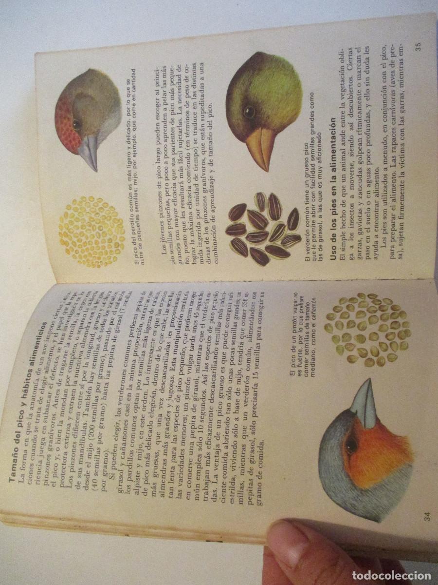 Libros de segunda mano: JOHN SPARKS Vida y costumbres de las aves W24612 - Foto 3