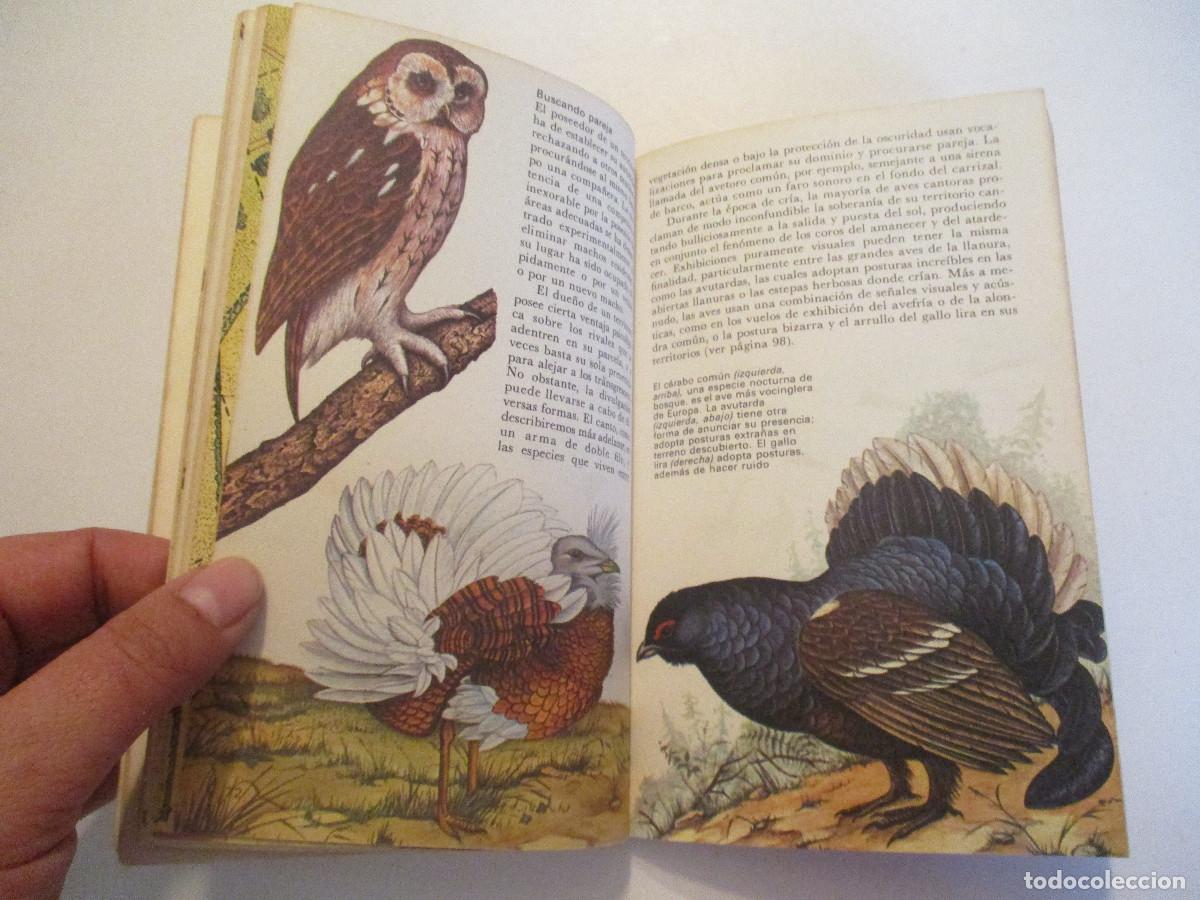 Libros de segunda mano: JOHN SPARKS Vida y costumbres de las aves W24612 - Foto 4