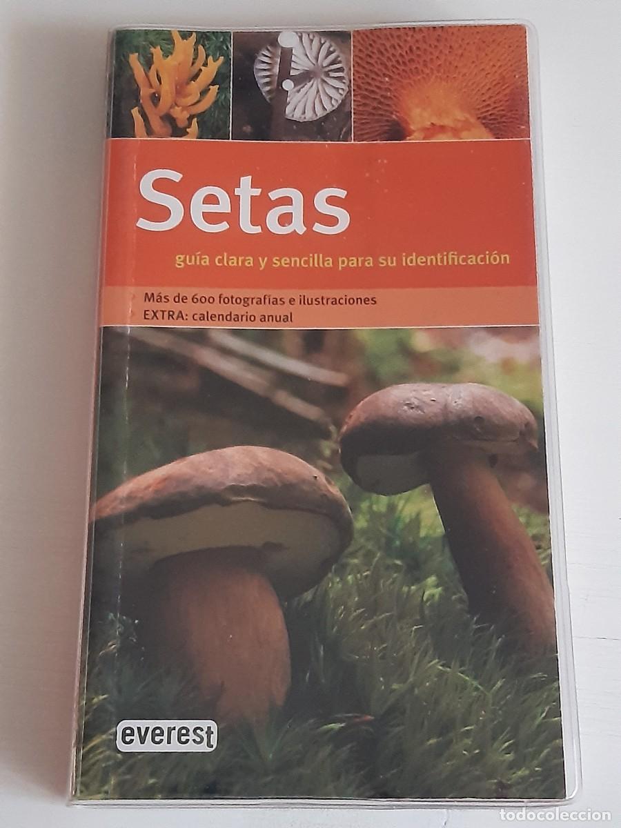 Libri di seconda mano: Setas gu&iacute;a clara y sencilla para su identificaci&oacute;n micolog&iacute;a