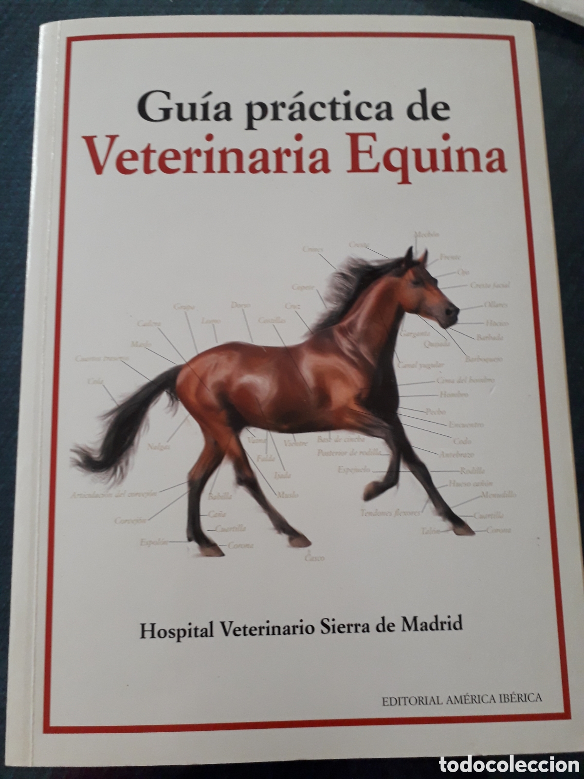 Libros de segunda mano: Guia practica - Foto 1