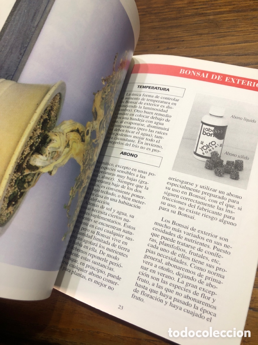 Libros de segunda mano: Conozca su Bonsai. Gu&iacute;a pr&aacute;ctica de cuidados y consejos - Foto 4