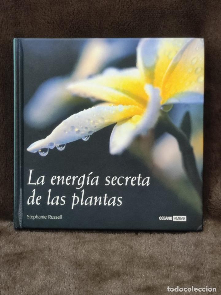 Libros de segunda mano: LA ENERG&Iacute;A SECRETA DE LAS PLANTAS - Stephanie Russell - Oceano / Ambar - 2007 (IB8756EST6)