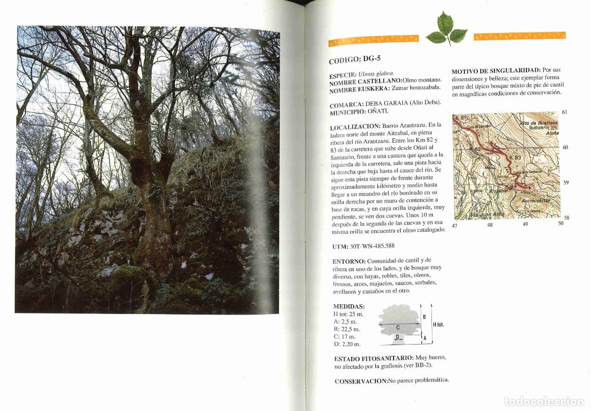 Libros de segunda mano: Arboles singulares de Euskadi. 1990 - Foto 2