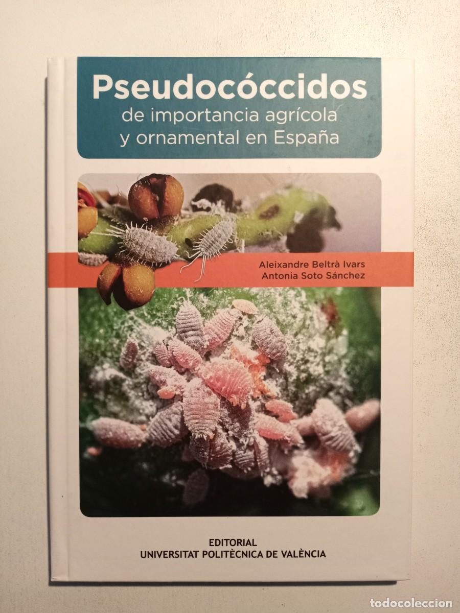 Libri di seconda mano: PSEUDOC&Oacute;CCIDOS DE IMPORTANCIA AGR&Iacute;COLA Y ORNAMENTAL EN ESPA&Ntilde;A - 1&ordf; EDICI&Oacute;N 2012 UNIVERSITAT VALENCIA
